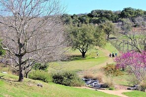 Dine and Disc Golf Package in Marble Falls
