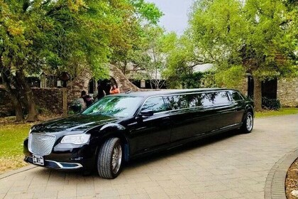 Texas Hill Country Wine Tour by Limousine