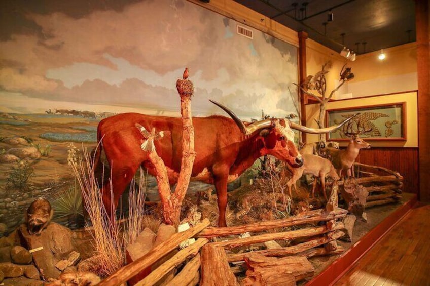 The Buckhorn Saloon & Museum and Texas Ranger Museum Admission