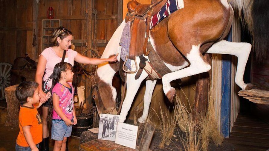The Buckhorn Museum and the Texas Ranger Museum are located under one roof.