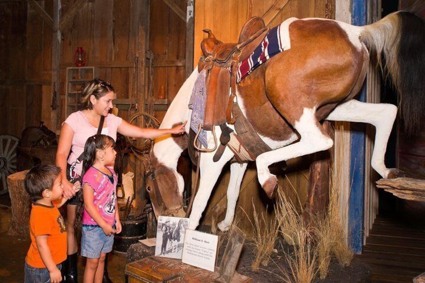 The Buckhorn Museum and the Texas Ranger Museum are located under one roof.
