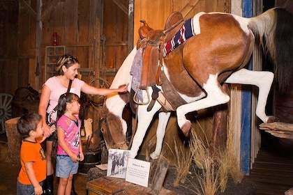 The Buckhorn Saloon & Museum and Texas Ranger Museum Admission