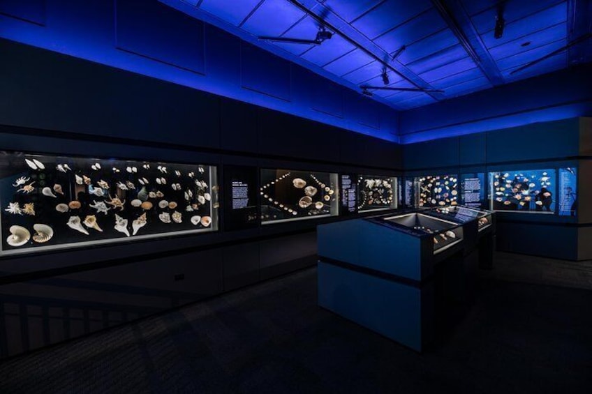George Strake Hall of Malacology