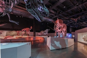 Houston Museum of Natural Science General Admission