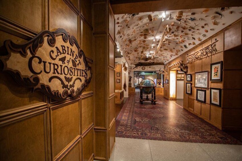 Entry into Cabinet of Curiosities Hall