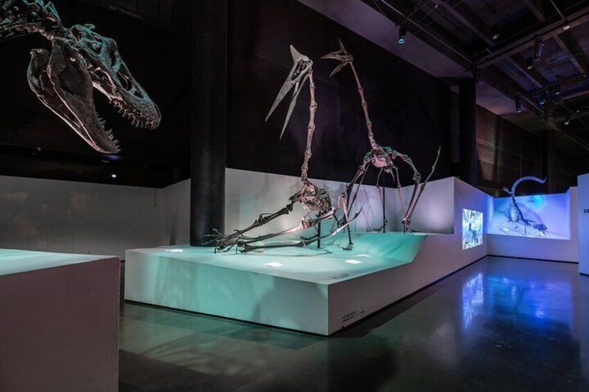 Morian Hall of Paleontology