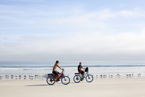Full Day Electric Bike Ride
