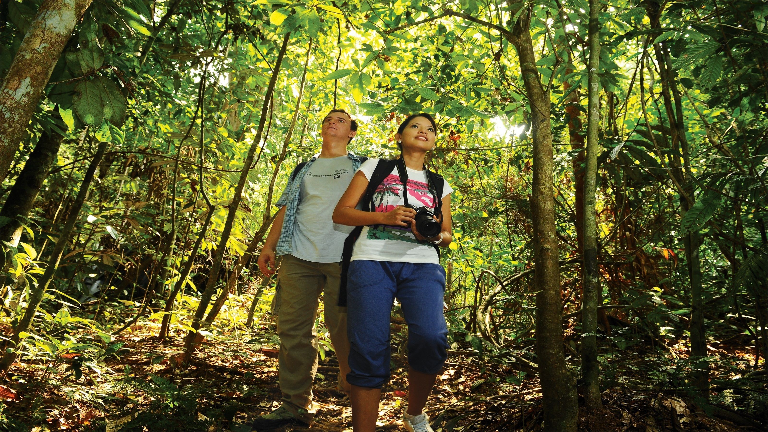 Private Tour of Taman Negara Jungle Trek & Canopy Walk