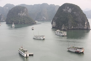 Cruising in Ha Long Bay in a day