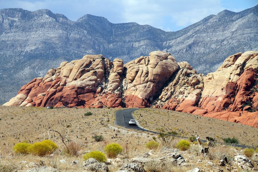 Red Rock Canyon Tour