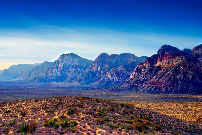 Red Rock Canyon Tour