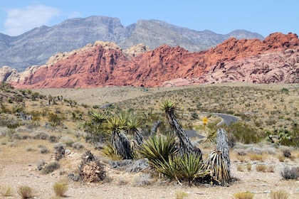 Tour del Red Rock Canyon