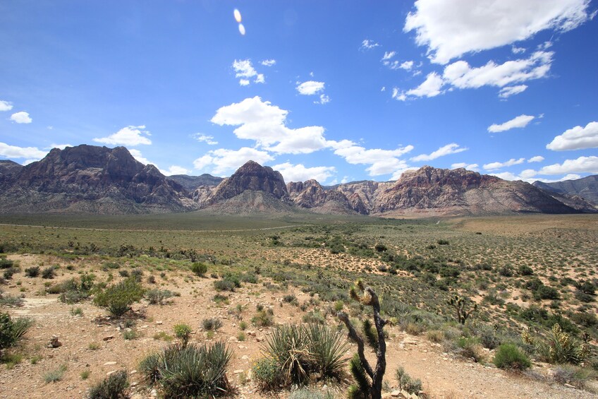 Red Rock Canyon Tour