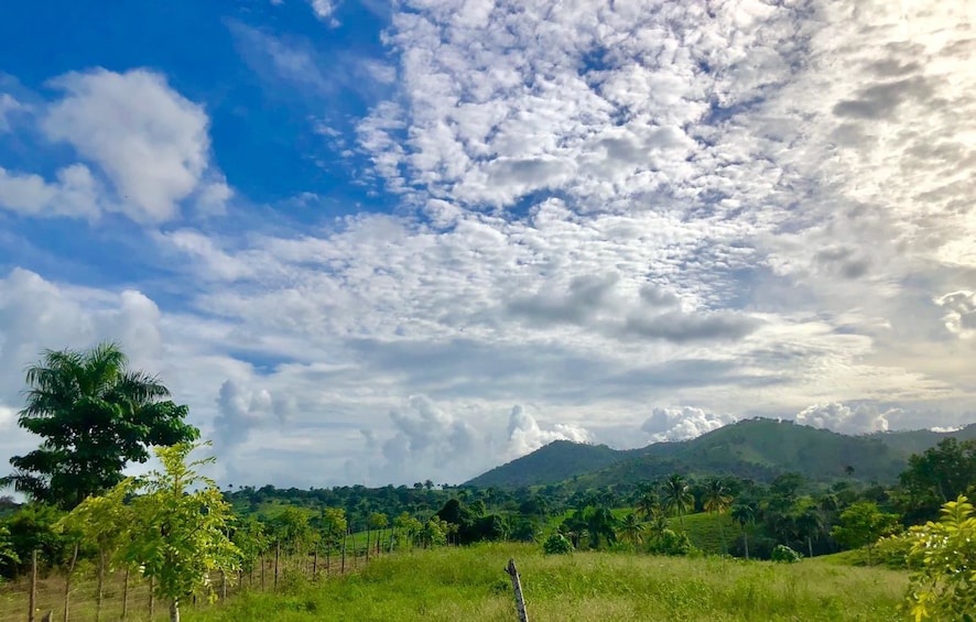 Jungle Buggies from Punta Cana
