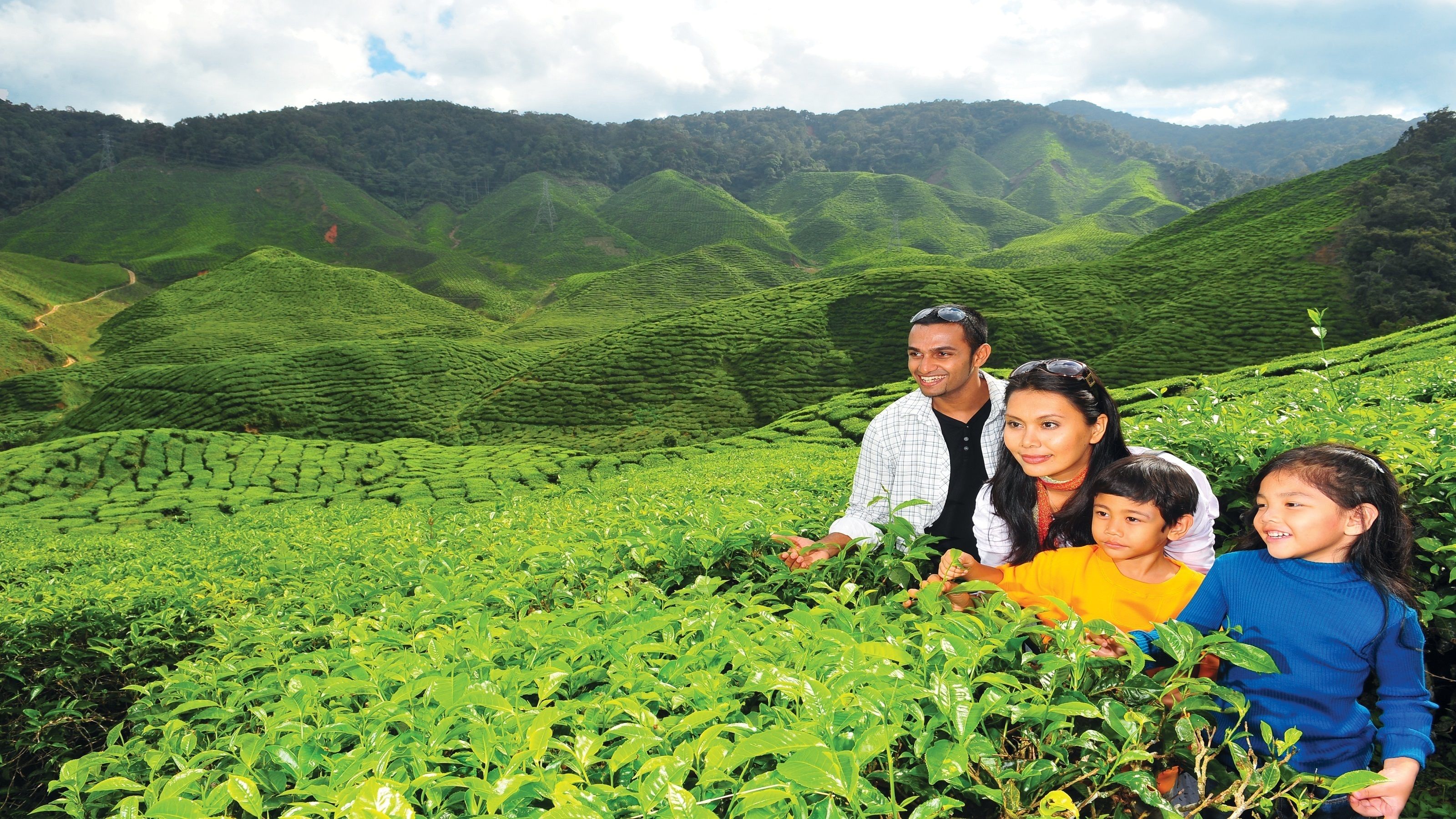 Private Day Trip to Cameron  Highland  Orang  Asli  Village