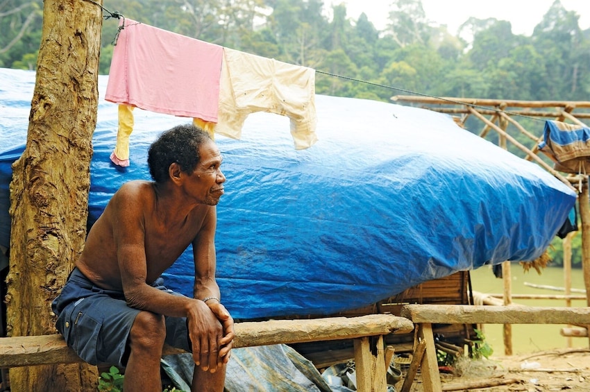 Private Day Trip to Cameron Highland & Orang Asli Village