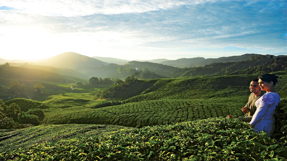 Couple visiting the Cameron Highlands in Kuala Lumpur