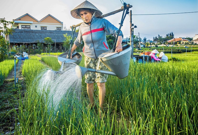 Half-Day Foodie Tour By Bicycle & Visit Tra Que Village