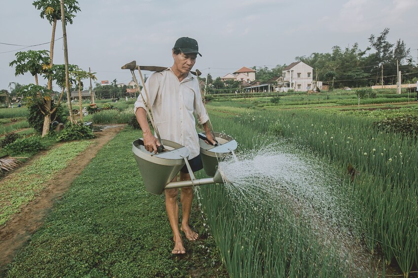 Half-Day Foodie Tour in Hoi An