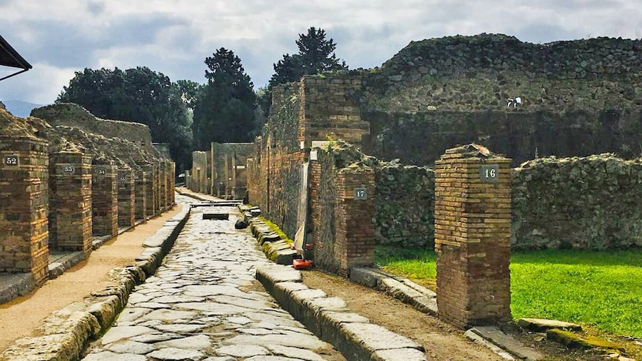 Day Trip to Pompeii from Naples