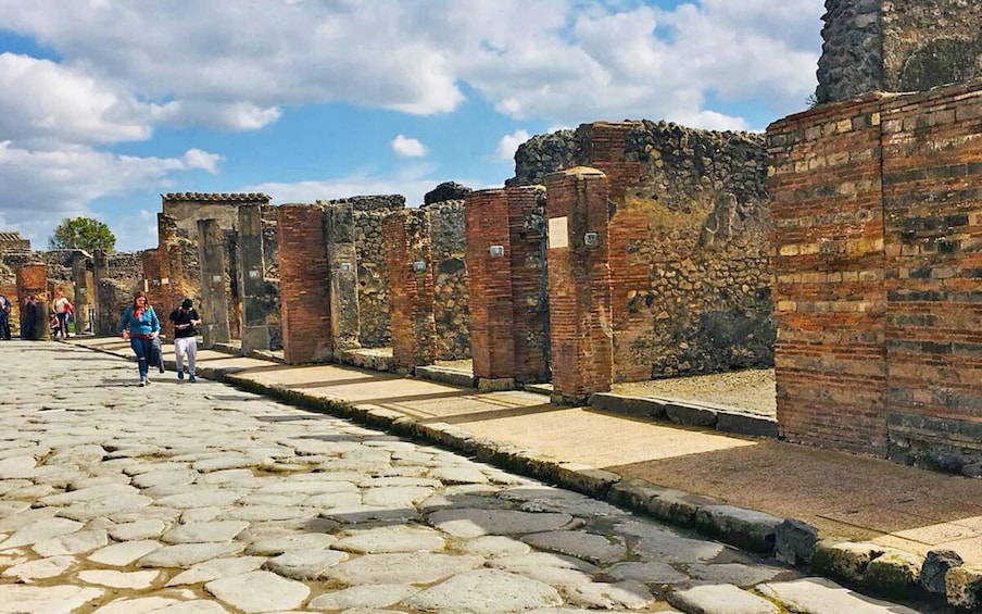 Day Trip to Pompeii from Naples