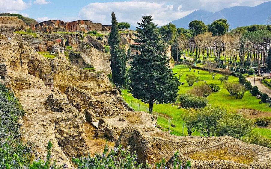 Day Trip to Pompeii from Naples