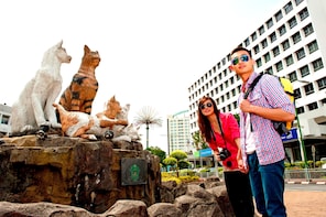 Kuching City & River Tour - Private
