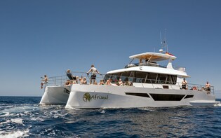 Morning Cruise Afrikat Gran Canaria