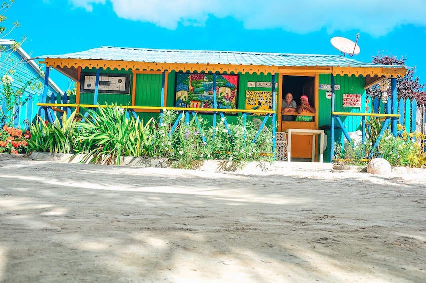 Full Day Shared Tour in Isla Saona Sea and Wildlife Experience
