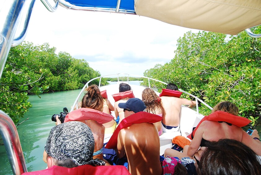 Breakers Saona Sealife Adventure