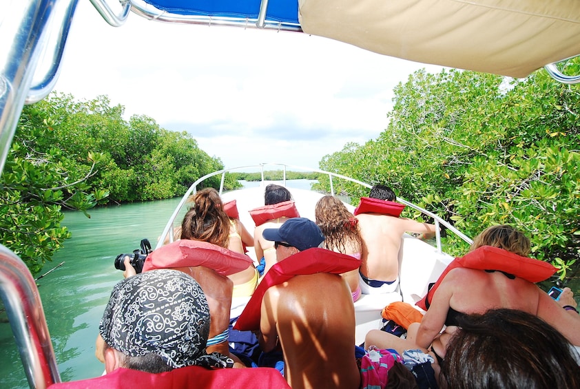 Breakers Saona Sealife Adventure