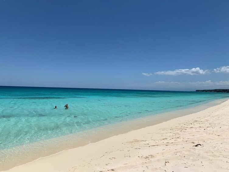 Full Day Shared Tour in Isla Saona Sea and Wildlife Experience