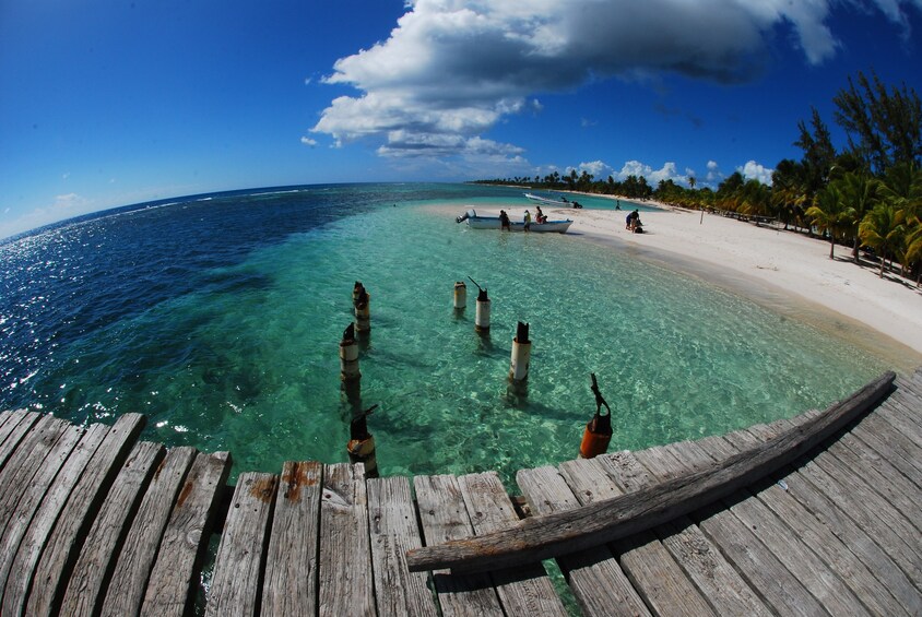 Breakers Saona Sealife Adventure