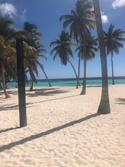 Breakers Saona Sealife Adventure