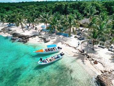 Isla Saona Speedboat Adventure with Food & Wildlife