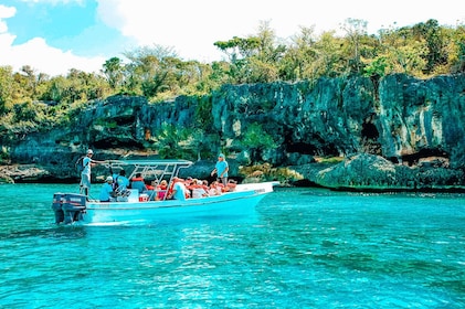 Full Day Shared Tour in Isla Saona Sea and Wildlife Experience