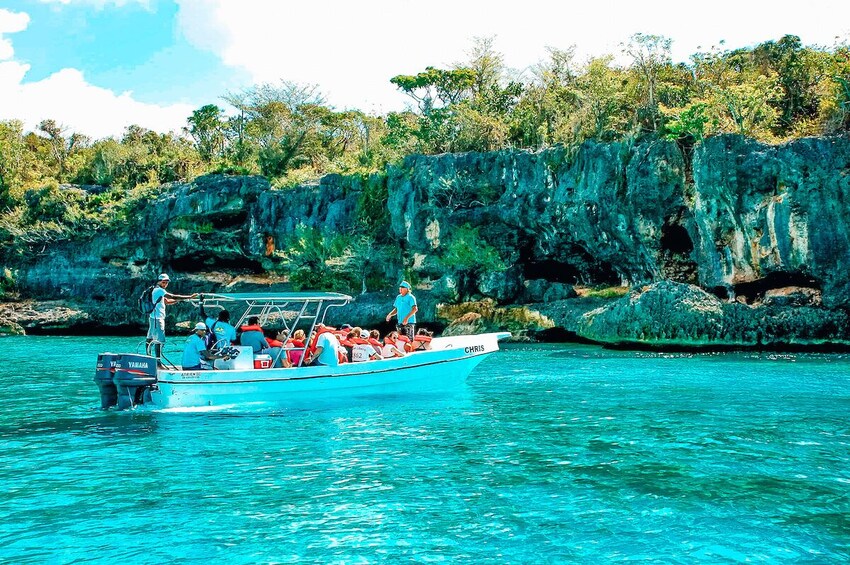 Full Day Shared Tour in Isla Saona Sea and Wildlife Experience