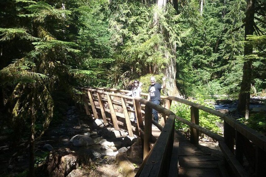 Private Cascade Mountains and Waterfalls Tour from Seattle