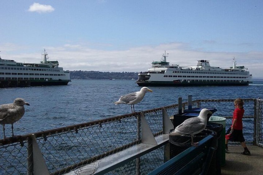 Seattle Private Tour for 2-5