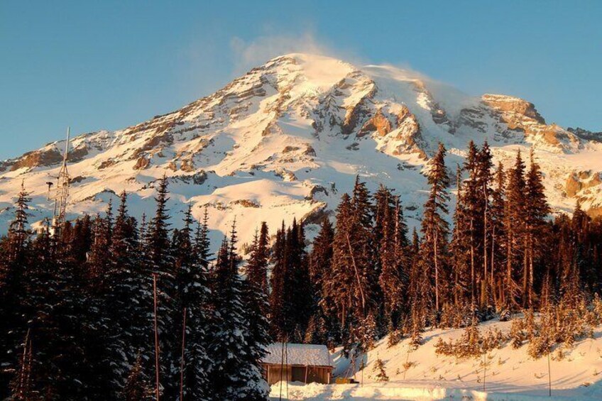 Mt Rainier Day Trip from Seattle