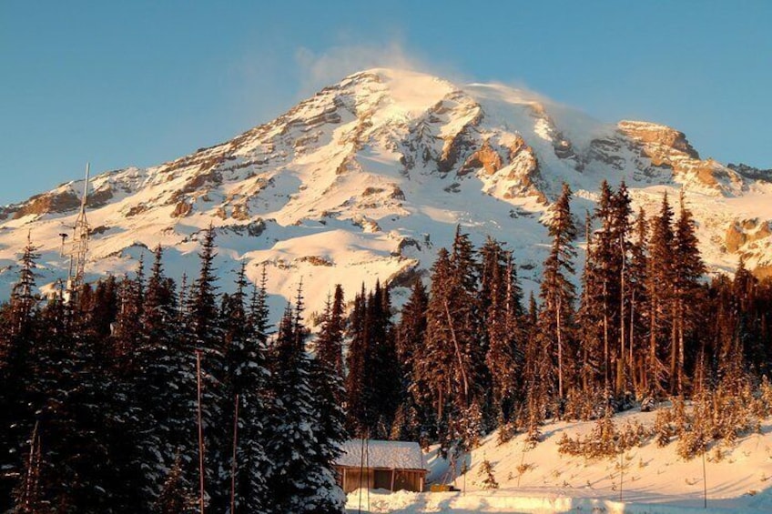Mt Rainier Day Trip from Seattle