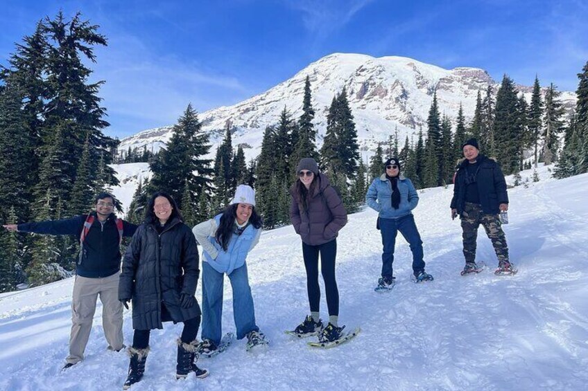 Viator Exclusive Tour - Mt. Rainier Day Trip from Seattle