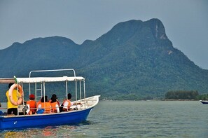 Mangrove & Dolphin Cruise - Small Group Tour