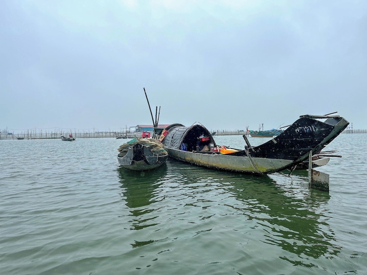Full-Day Bach Ma National Park Trekking Tour From Hoi An