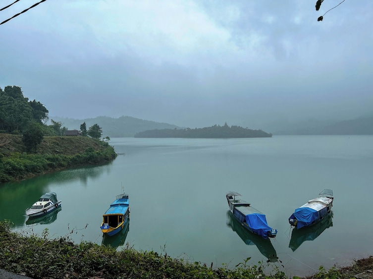 Full-Day Bach Ma National Park Trekking Tour From Hoi An