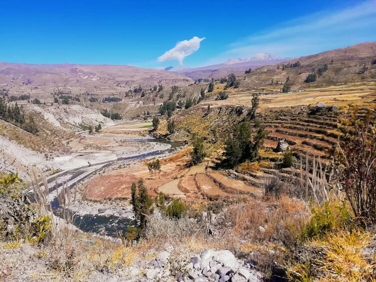 Colca Canyon: 2 Day Tour from Arequipa
