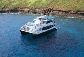 Afternoon (PM) Snorkel