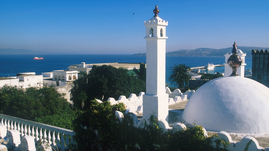 Casablanca to Tangier Day Trip by High-Speed Train