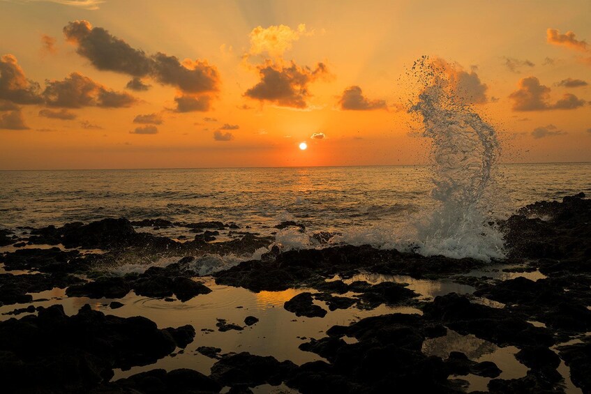 Spectacular Sunrise and Nature Tour 