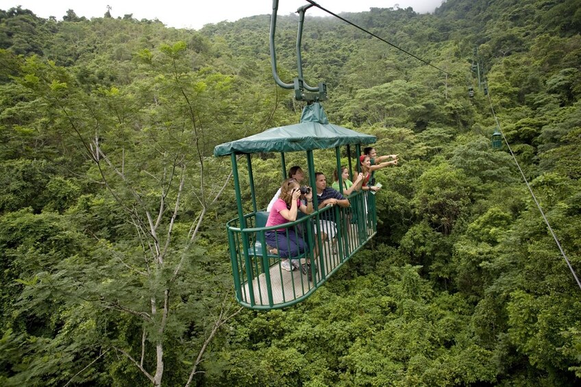 Rainforest Aerial Tram From San José